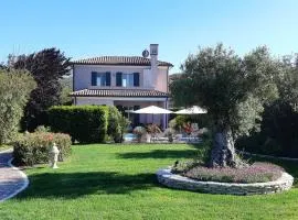 Belvedere