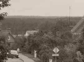 Namelis 1954