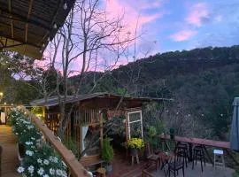 An homestay - forest healing