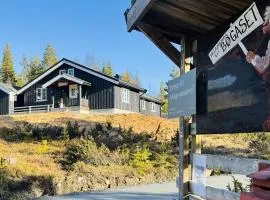 Newly renovated cabin in Nesfjellet, Nesbyen