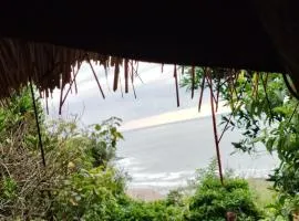 Manuel's view