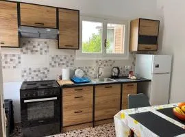 Aegean House