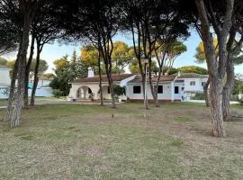 Pinos Verdes