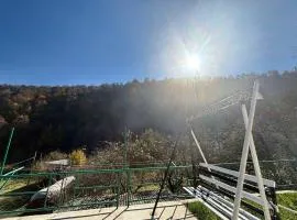 In Forest Guest House