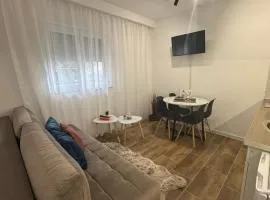 Apartmani Petrović