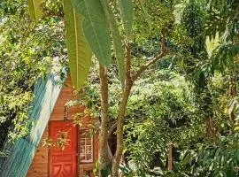 Guarda Garden Cabanas