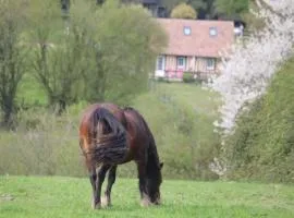 Gite A la petite Bretonnière
