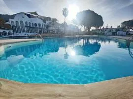 AP417 Los Mandarinos