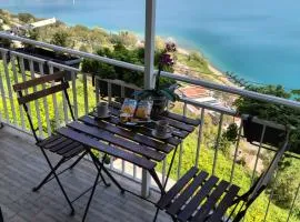 la vista sul lago