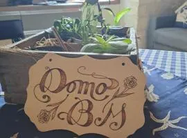 Domo BM