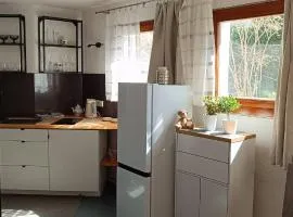 Room in Apartment - Cozy Room in Nagold with Private Facilities