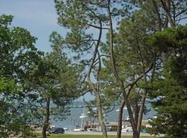 Appartement 2 chambres Bassin d'Arcachon front de mer, plage du Betey