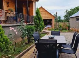 Sisters zhgenti plantacia