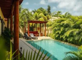 Shankara Holbox