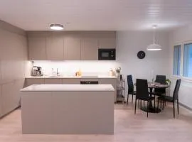 Large renovated townhouse with sauna and patio