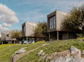 Prosilio olive tree houses