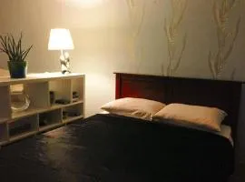 Designer Apartment in Old Town