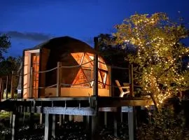 Voces de Aves Glamping