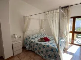 Bed and Breakfast Le petunie