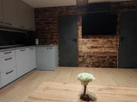 Apartament Glamour II Kleszczów
