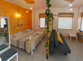 Estudio Mota
