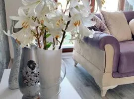 Apartman STARI GRAD