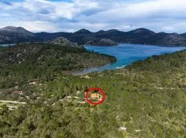 Secluded fisherman's cottage Cove Jaz - Telascica, Dugi otok - 8143