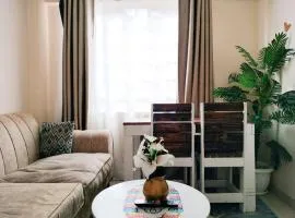 Cutie homes