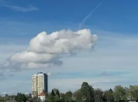 Rhein Panorama - Strasbourg-Kehl