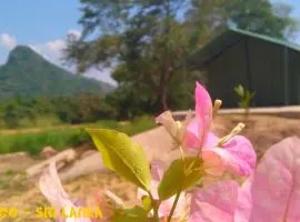 Camp Moragoo