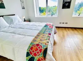 Moderno departamento en Osorno