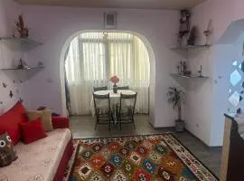 Ingrid home 3 camere