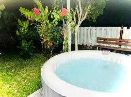 La Villa Des Lys avec jacuzzi