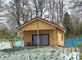 Cabane des Roches
