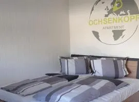 Ochsenkopf-apartment
