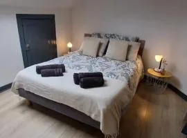 Charmant T2 au coeur d'Angers