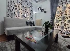 Crestio apartment Καστοριά