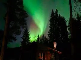 Blue Moment at the Arctic Circle- Forest, beach, activities