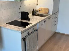 Helsinki Airport Apartment Stay
