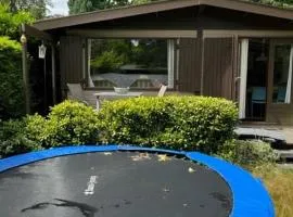 Chalet op groen park