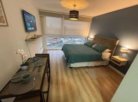Moderno Estudio en Osorno Full Equipado, h&oacute;tel me&eth; sundlaugar &iacute; Osorno