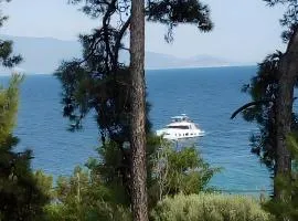 Villa Lesvos 30 meters to the Sea