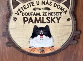 Šumava apartmán U Kočiček