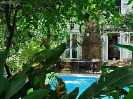 Villa La Senlis, biệt thự kiểu Pháp