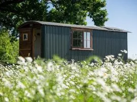 Harbour Ranch Hut - Rustic Countryside Escape
