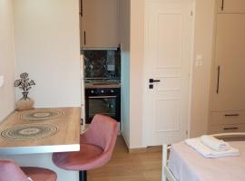 Angelos Apartment, alojamento com cozinha em Vathi