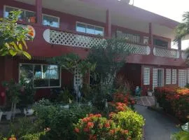 Las Margaritas Frente al Mar 2