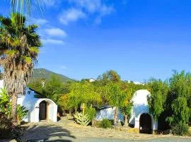 Hacienda Eco-Domes