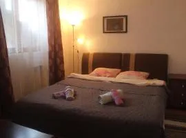 Apartment Baščaršija-parking i klima