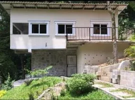 villa Sofia cheerfull villa with pool, sauna, bbq